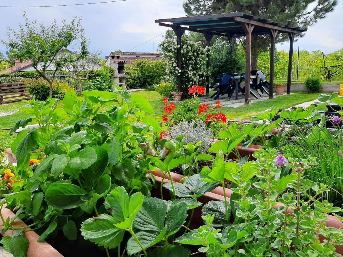 Villa Cascina Teresina Cortazzone Esterno foto