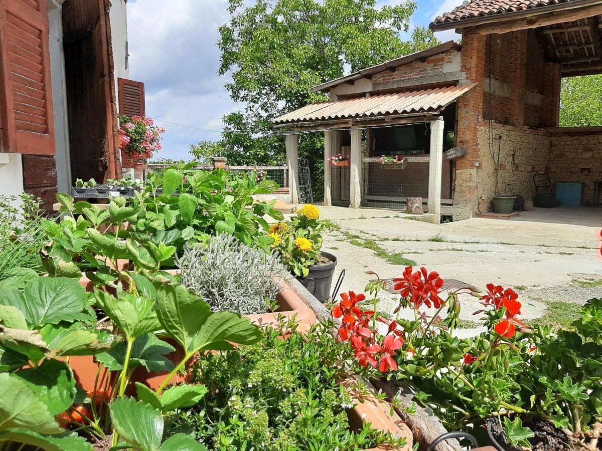 Villa Cascina Teresina Cortazzone Esterno foto