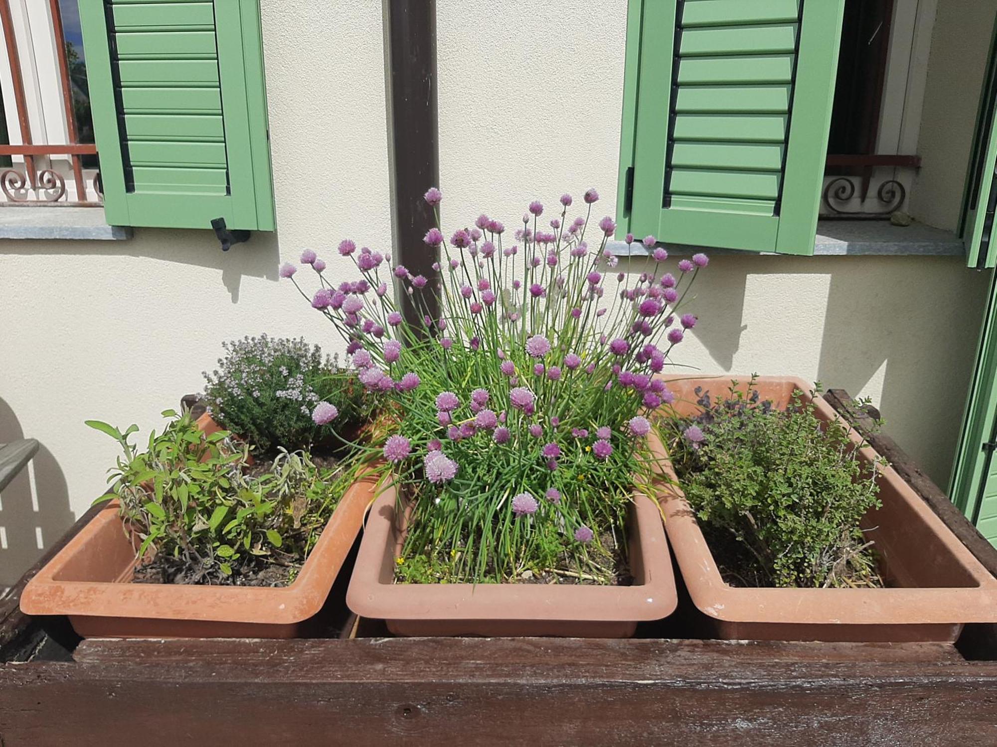 Villa Cascina Teresina Cortazzone Esterno foto